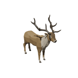 Stag